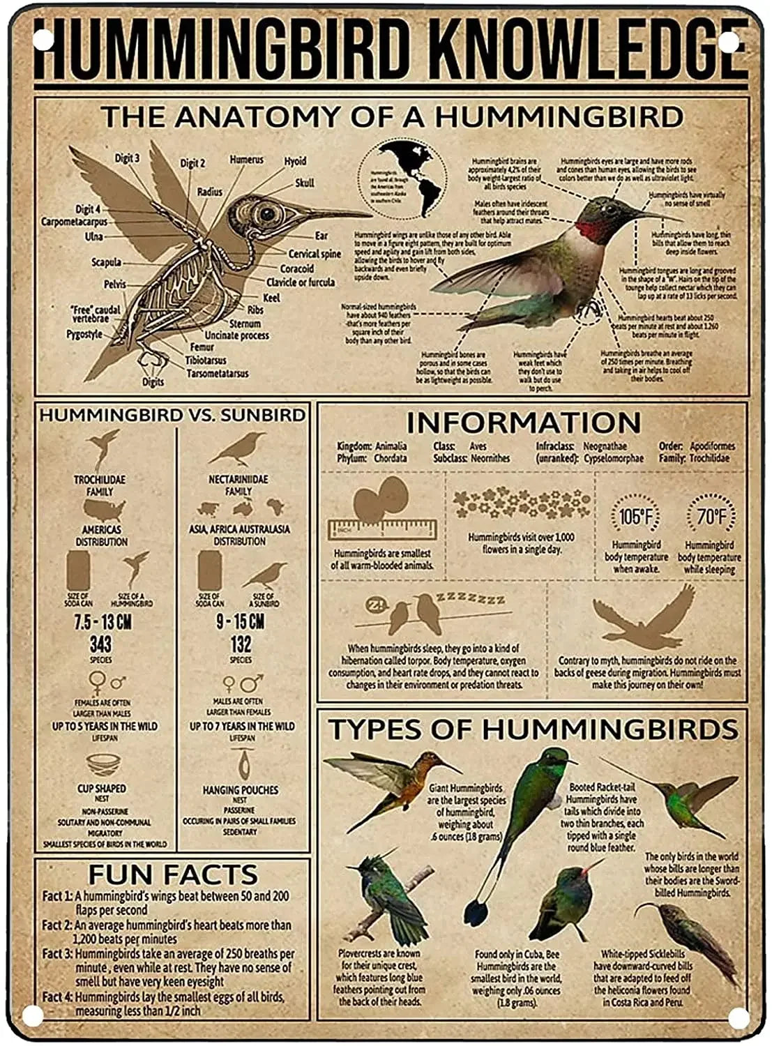 Vintage "Horse Knowledge" Metal Sign  (Home Decor, 12x8 in)