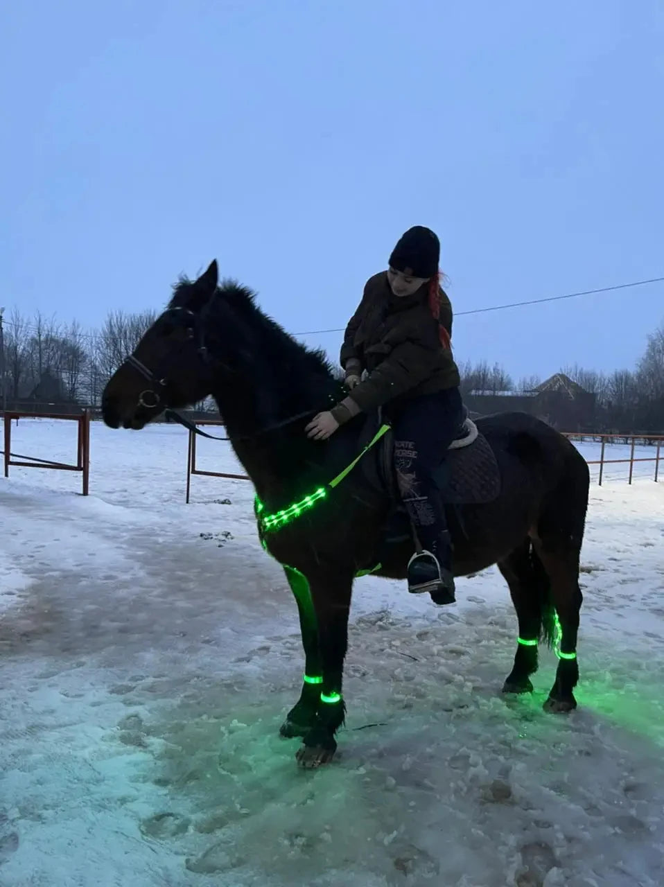 LED Horse Breastplate Nylon Night Visible