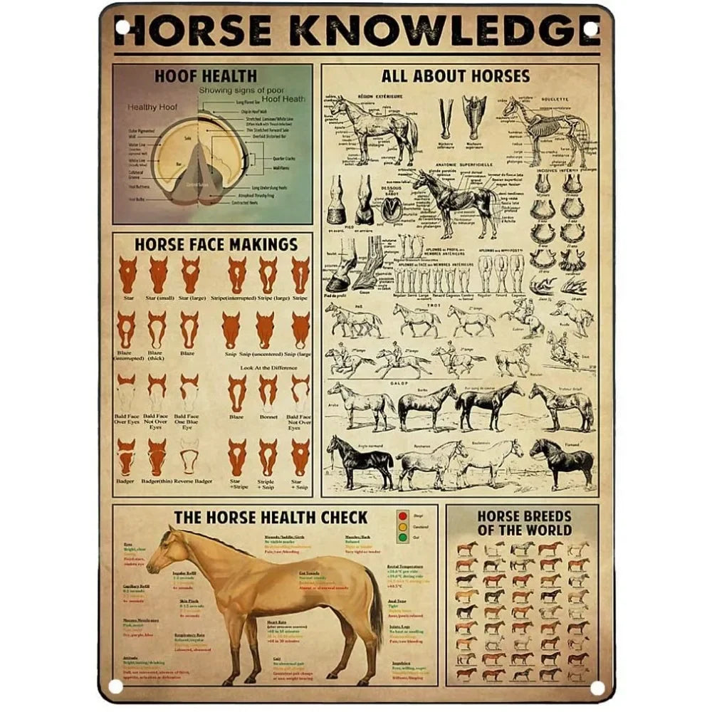 Vintage "Horse Knowledge" Metal Sign  (Home Decor, 12x8 in)