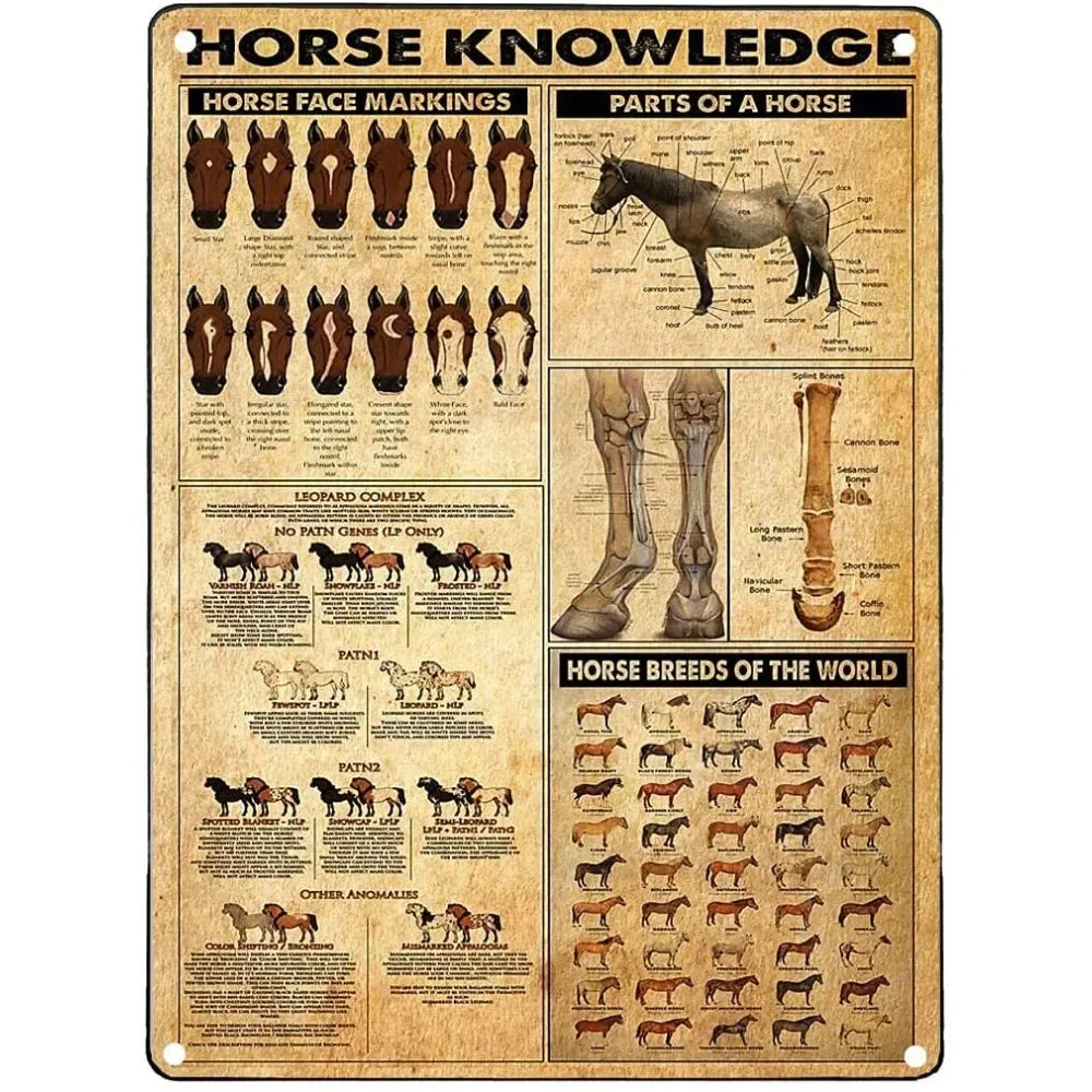 Vintage "Horse Knowledge" Metal Sign  (Home Decor, 12x8 in)