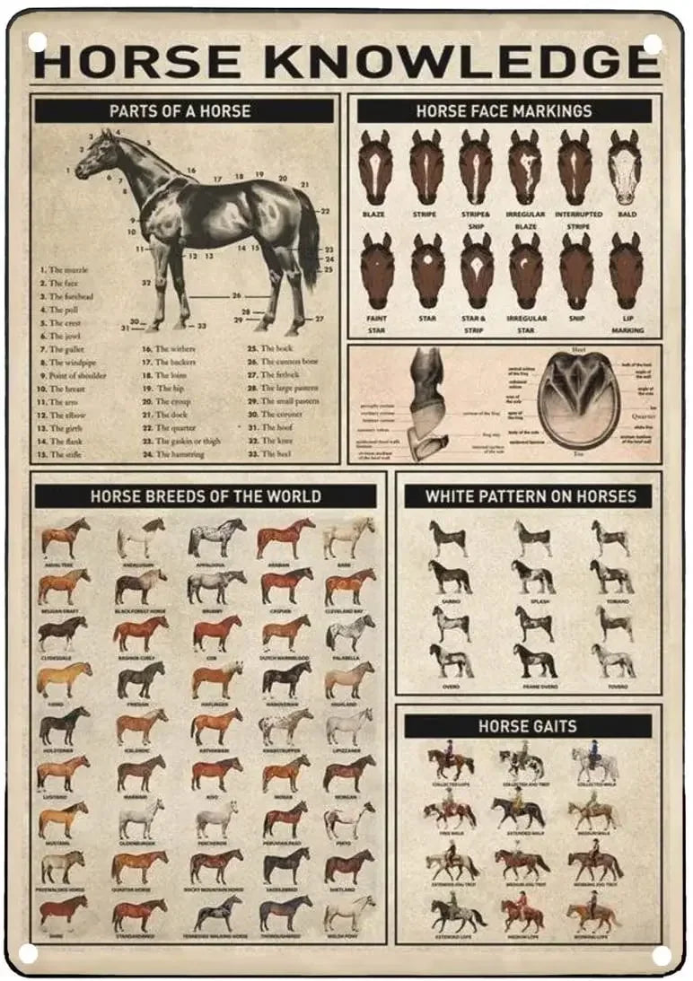 Vintage "Horse Knowledge" Metal Sign  (Home Decor, 12x8 in)