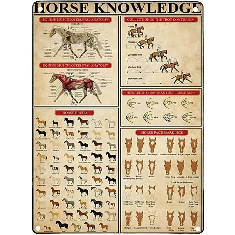 Vintage "Horse Knowledge" Metal Sign  (Home Decor, 12x8 in)