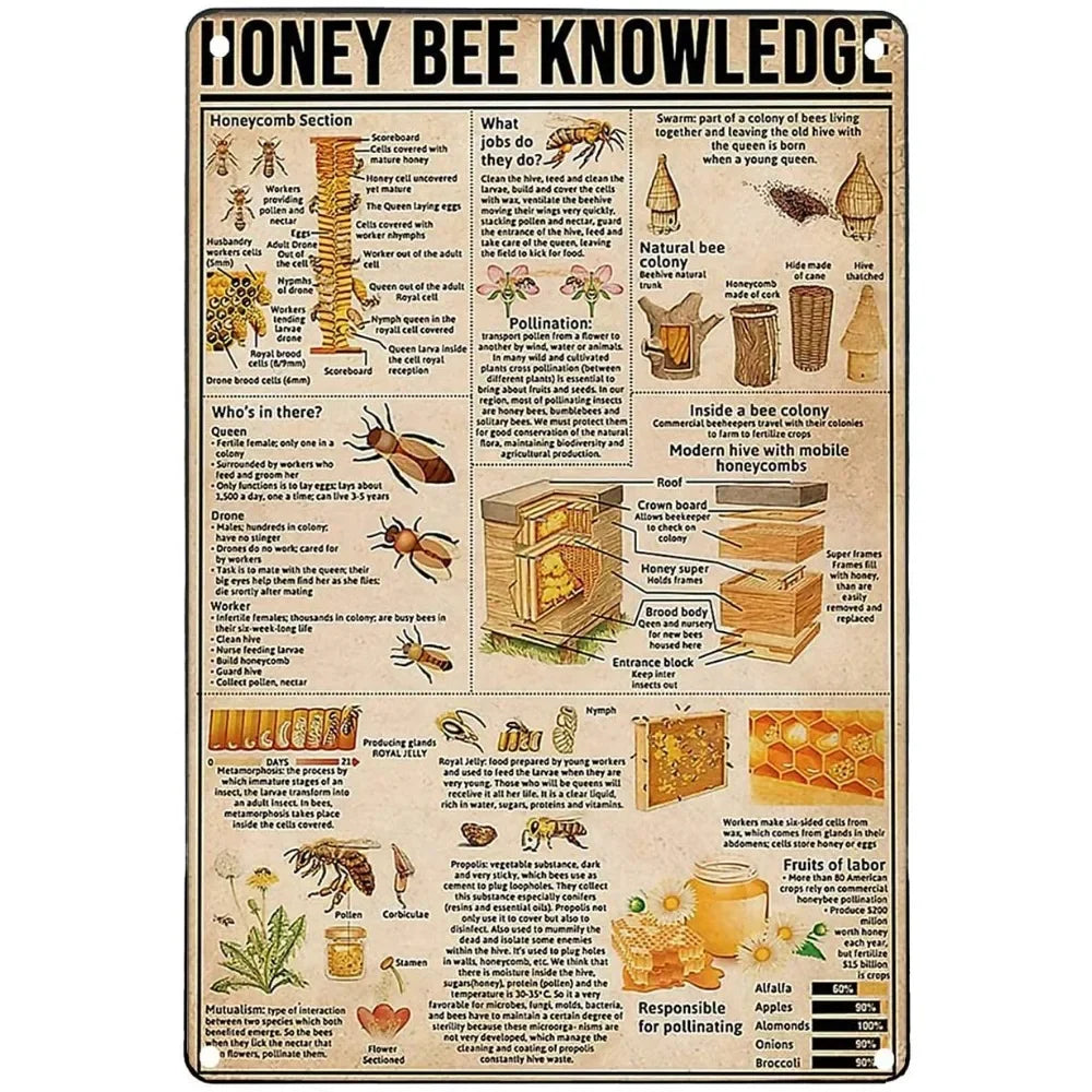 Vintage "Horse Knowledge" Metal Sign  (Home Decor, 12x8 in)