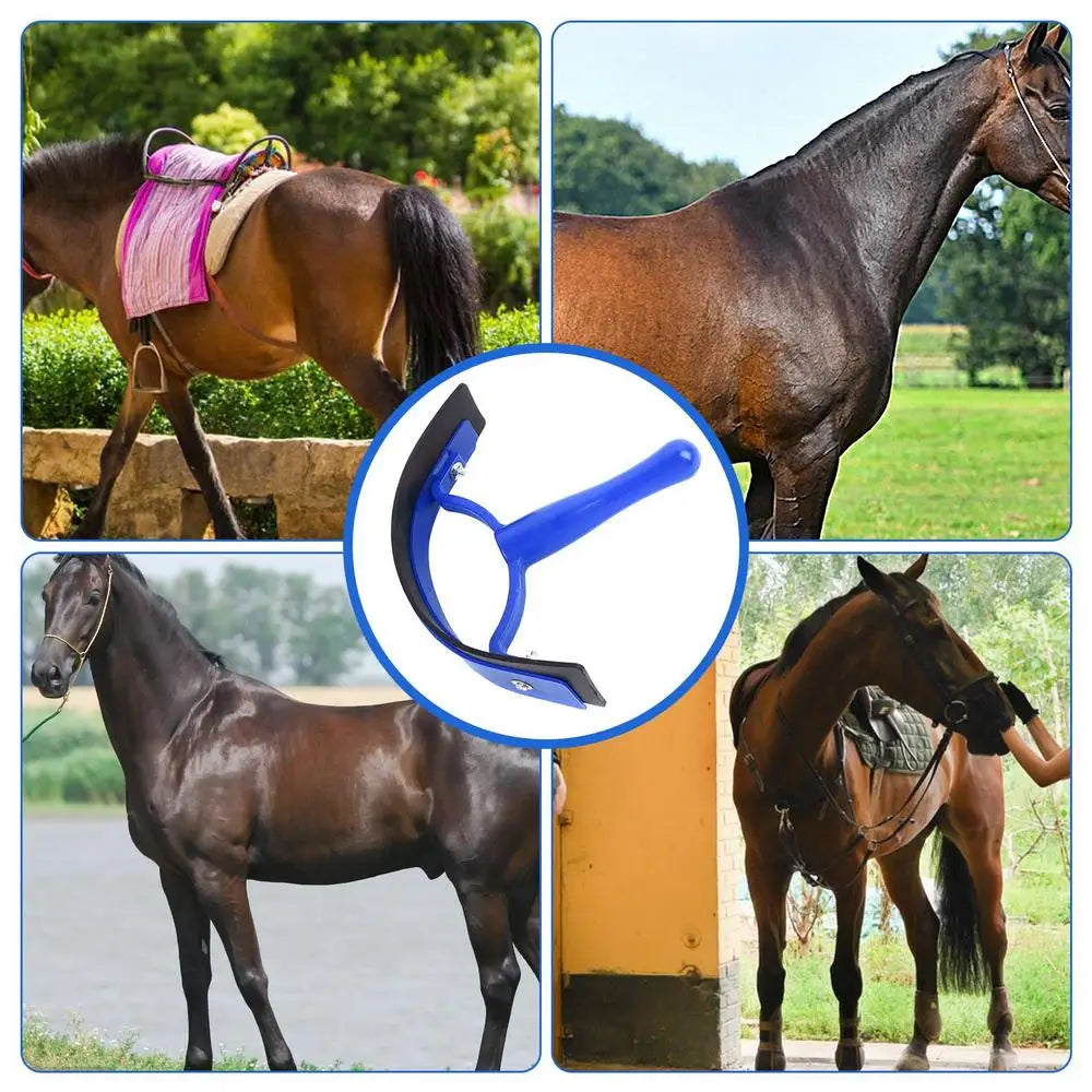 Sweat/Water Scraper For Horses