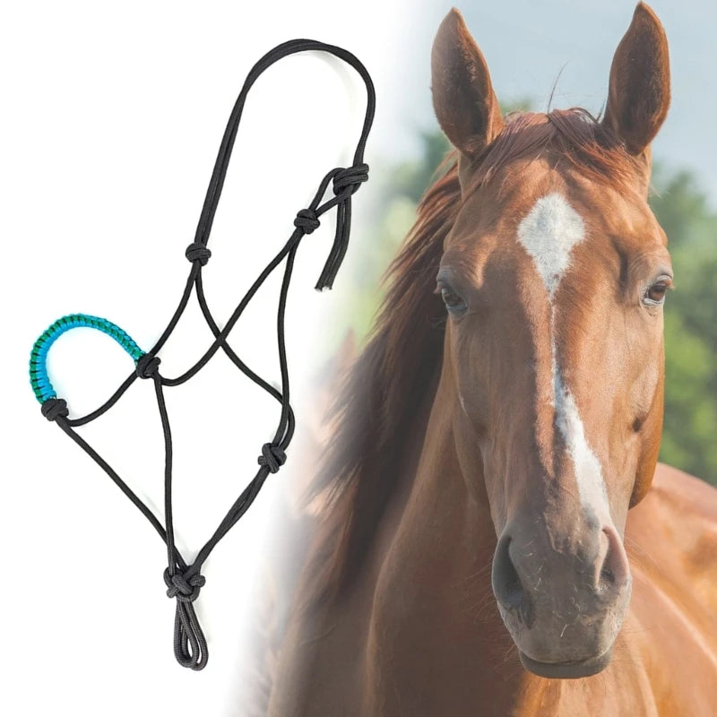 Rope Horse Halter with Decorative Braided Noseband