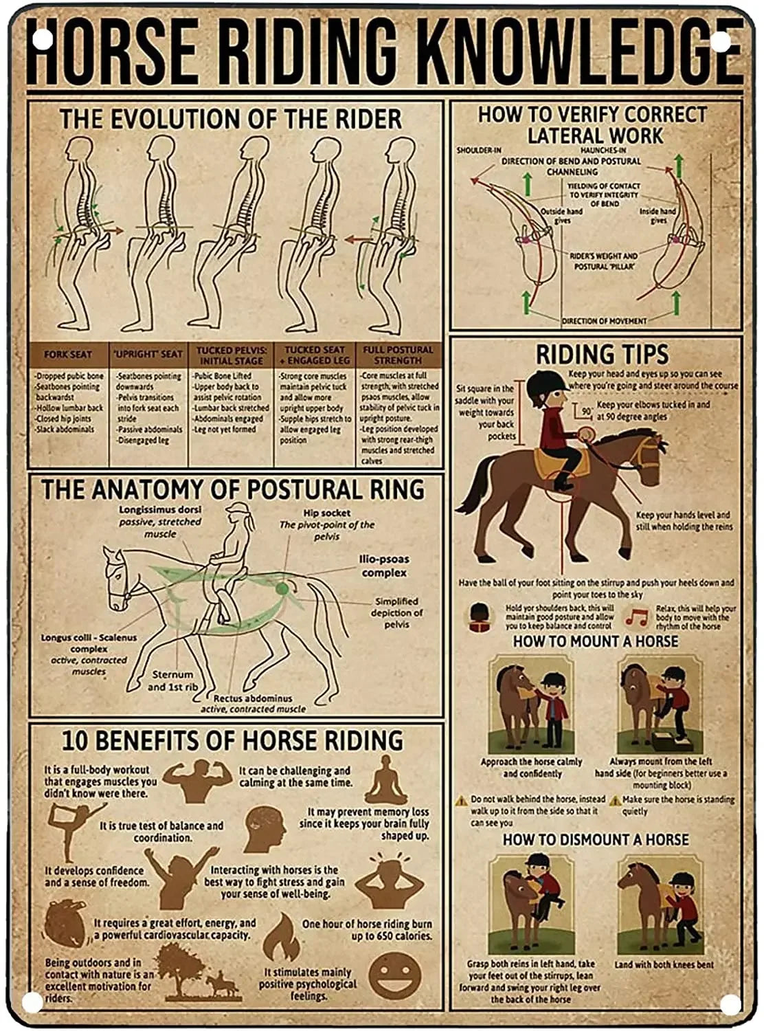 Vintage "Horse Knowledge" Metal Sign  (Home Decor, 12x8 in)