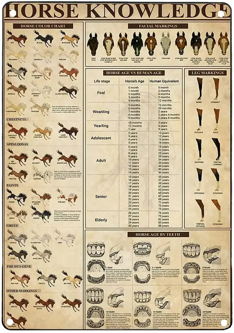 Vintage "Horse Knowledge" Metal Sign  (Home Decor, 12x8 in)