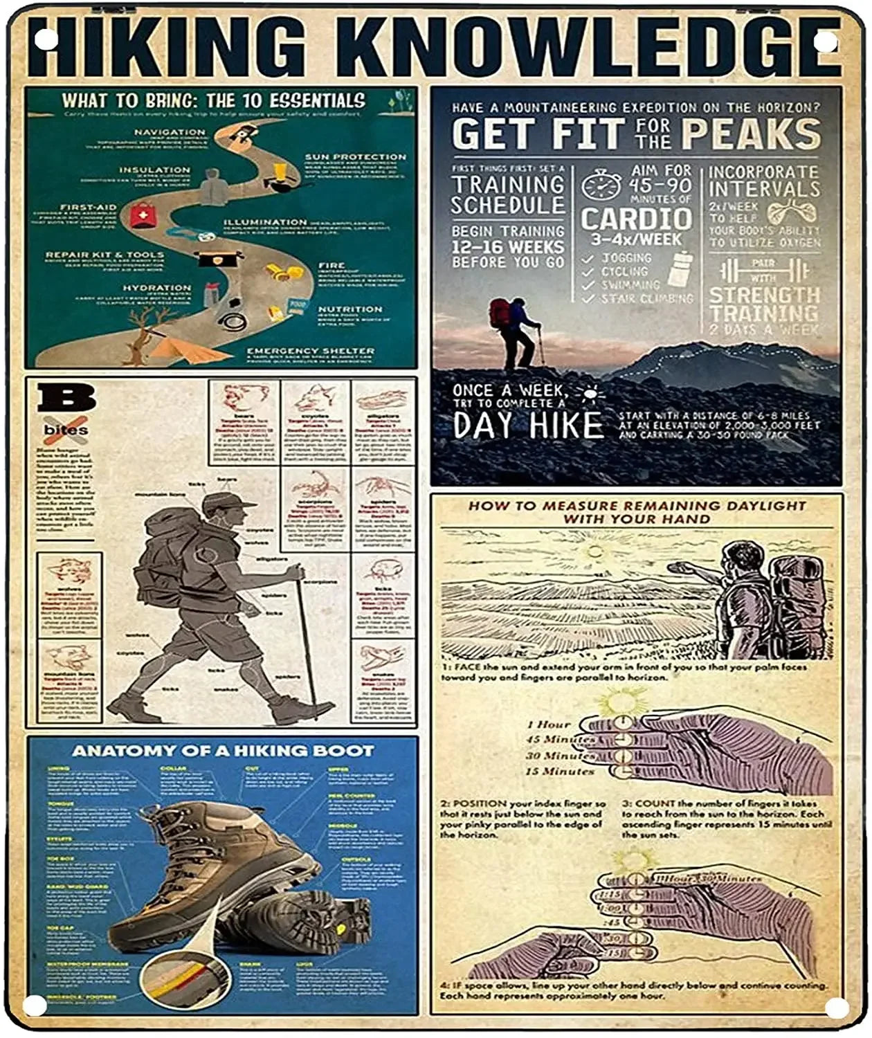 Vintage "Horse Knowledge" Metal Sign  (Home Decor, 12x8 in)