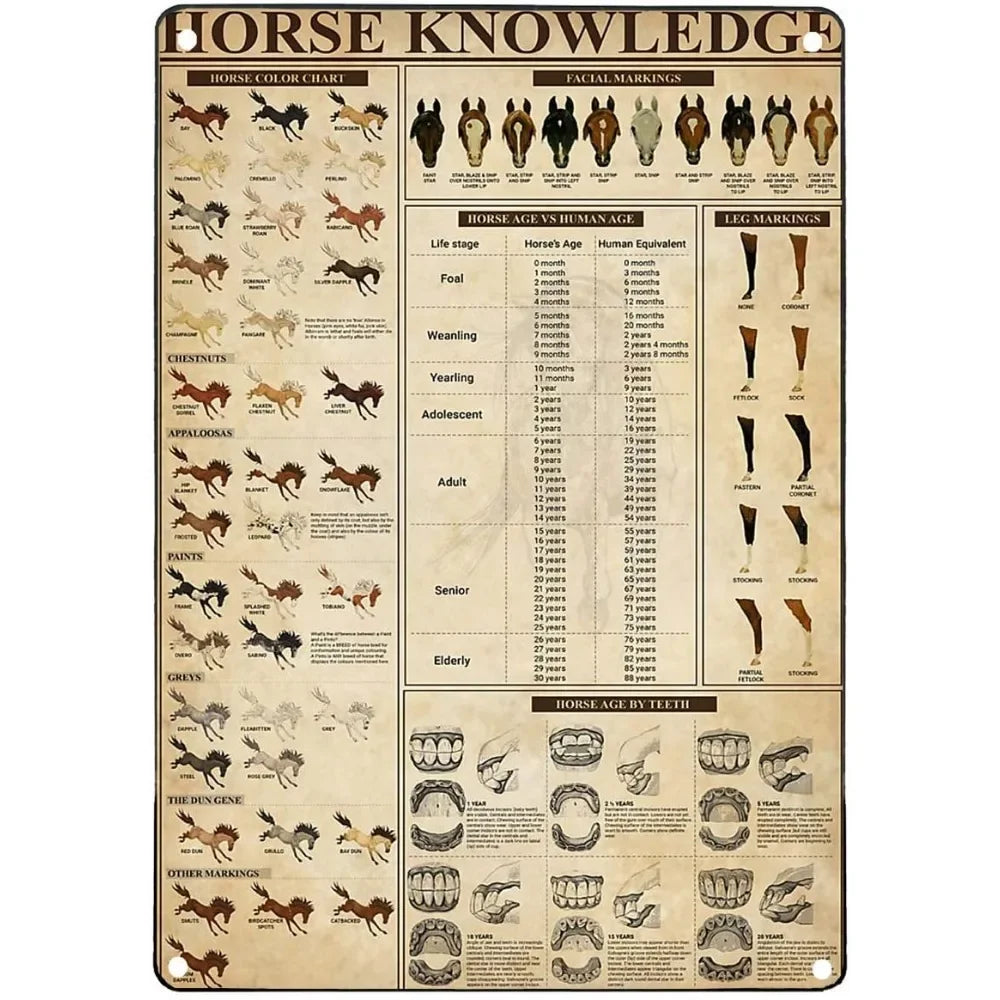Vintage "Horse Knowledge" Metal Sign  (Home Decor, 12x8 in)