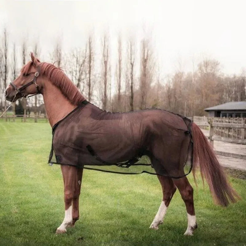 Horse Fly Sheet Breathable and UV Protective Tear-Resistant Neck Comfy Mesh Horse Fly Sheet Comfy Equine Summer with Buckle