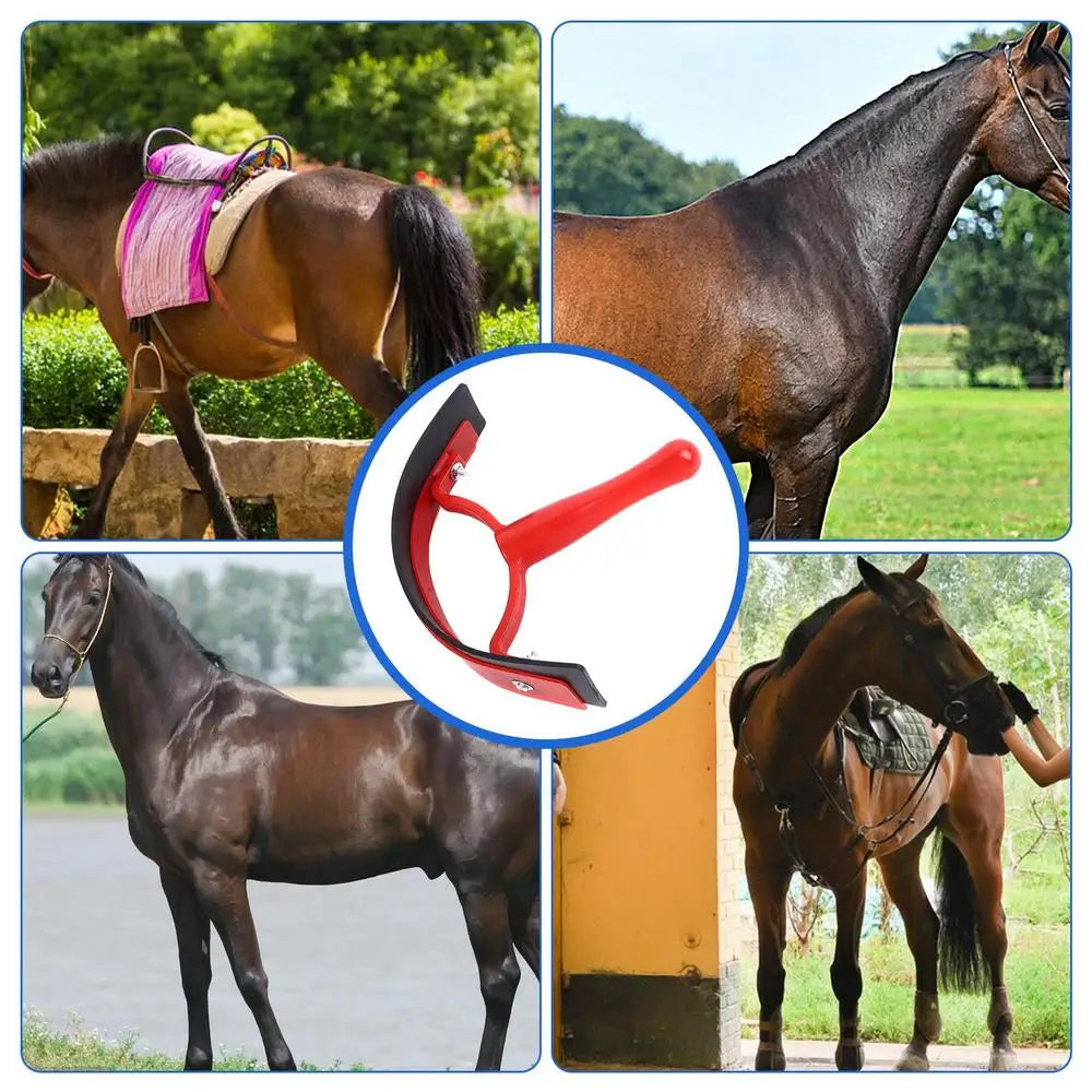 Sweat/Water Scraper For Horses