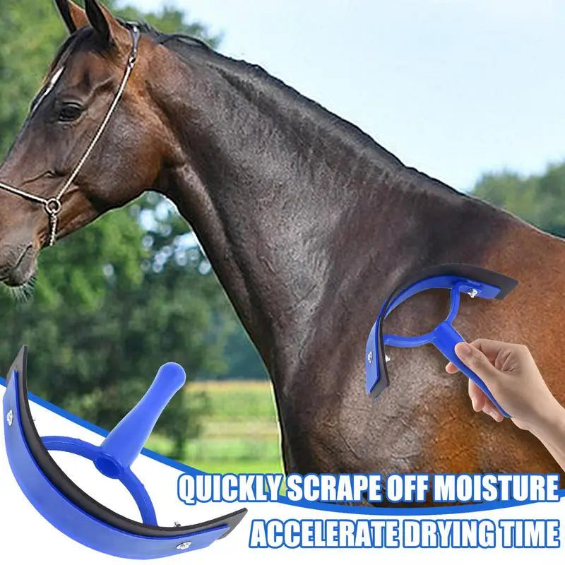 Sweat/Water Scraper For Horses