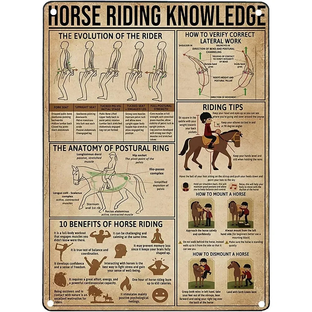 Vintage "Horse Knowledge" Metal Sign  (Home Decor, 12x8 in)