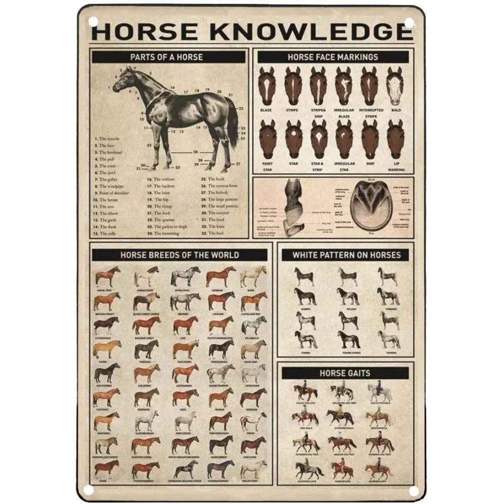 Vintage "Horse Knowledge" Metal Sign  (Home Decor, 12x8 in)